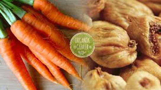 Havuç İncir Kürü Kullanımı ve Faydaları Nelerdir?